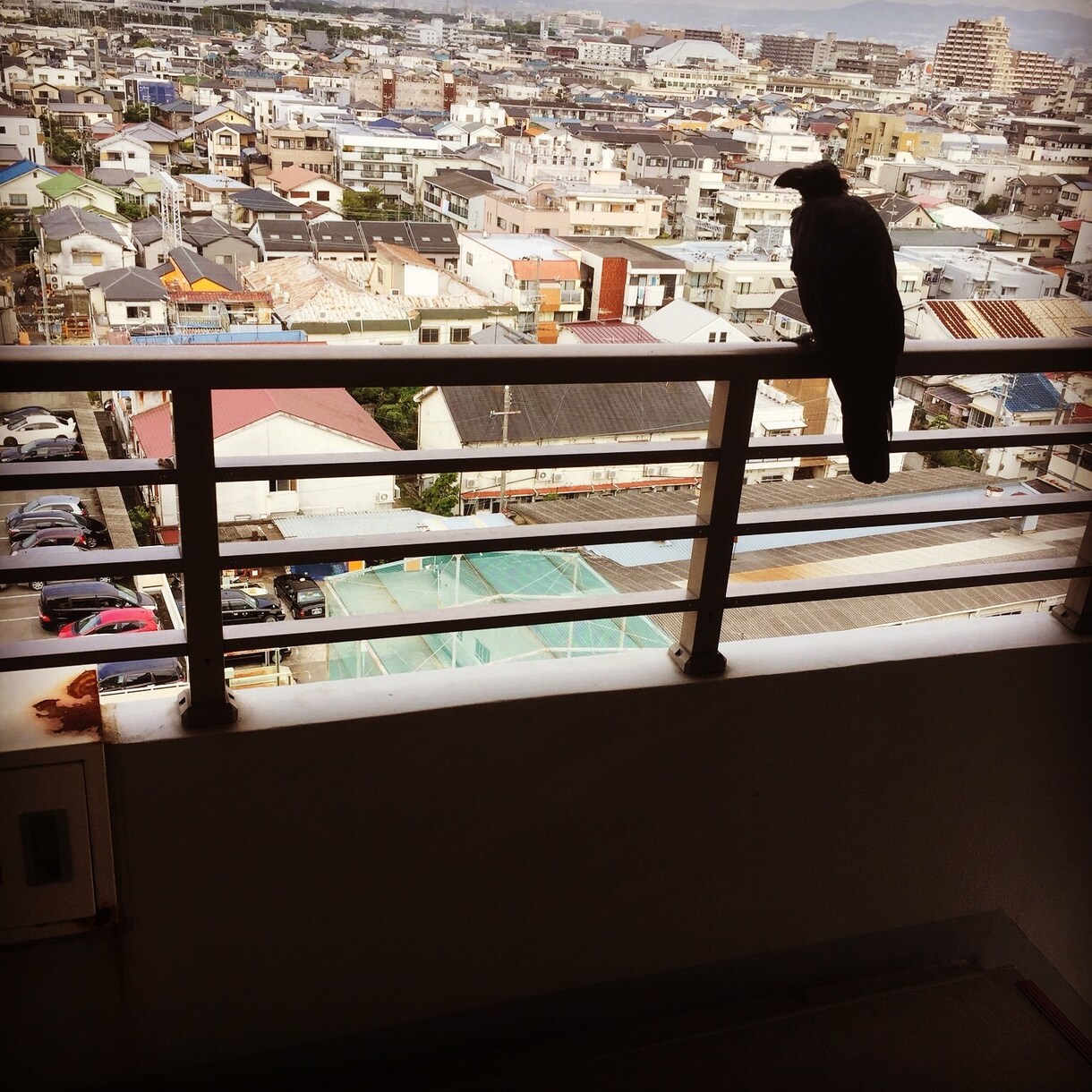 万事屋、様々な相談事のお相手致します 真の第三者  非情も同情も致します。 イメージ1