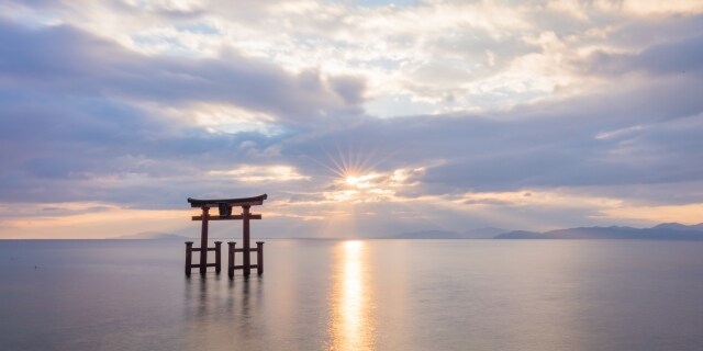 2026年の運氣をお誕生日から占います 宿命、使命、潜在意識からわかるヒントもお伝えします！ イメージ1