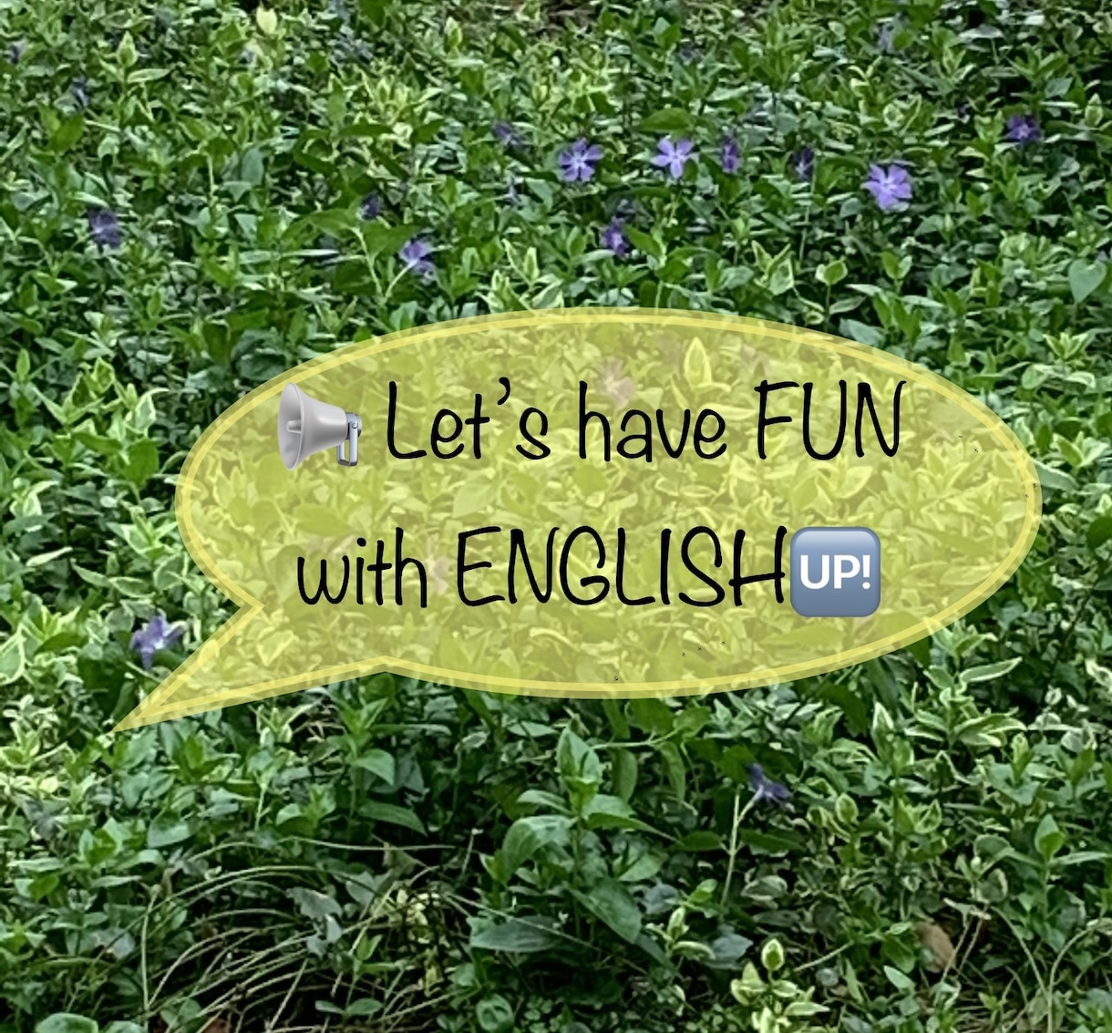初心者向け・英語苦手向けオンライン英会話教えます 慣れれば楽しい〜楽しく一緒に英語を話しましょう♪ イメージ1
