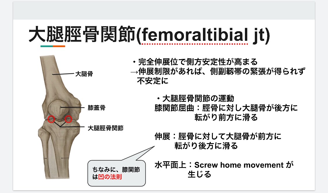 膝関節についての資料を提供します トレーナーやセラピスト必見！膝関節のあれこれが分かります！ イメージ1