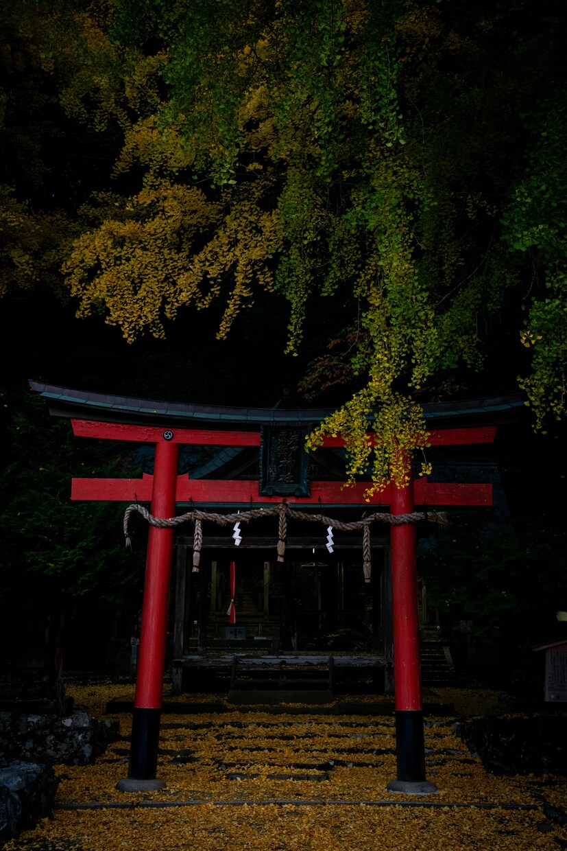 写真撮影の代行を致します 京都に行けない、でも写真が必要 イメージ1
