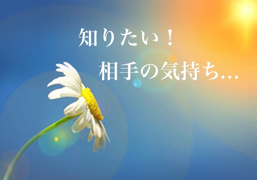 最短10分占い鑑定❤︎相手の気持ち明確にします ❤︎相手の気持ちを読み取りどう動くべきか一緒に考えましょう イメージ1