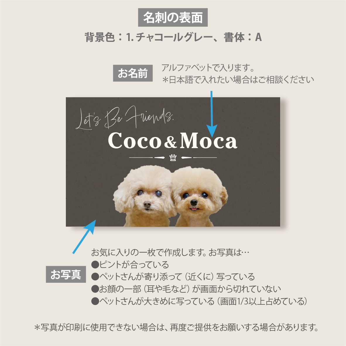 写真入り多頭ペット名刺をシンプルデザインで作ります グラフィックデザイナーにセミオーダー！両面印刷100枚送料込 イメージ2