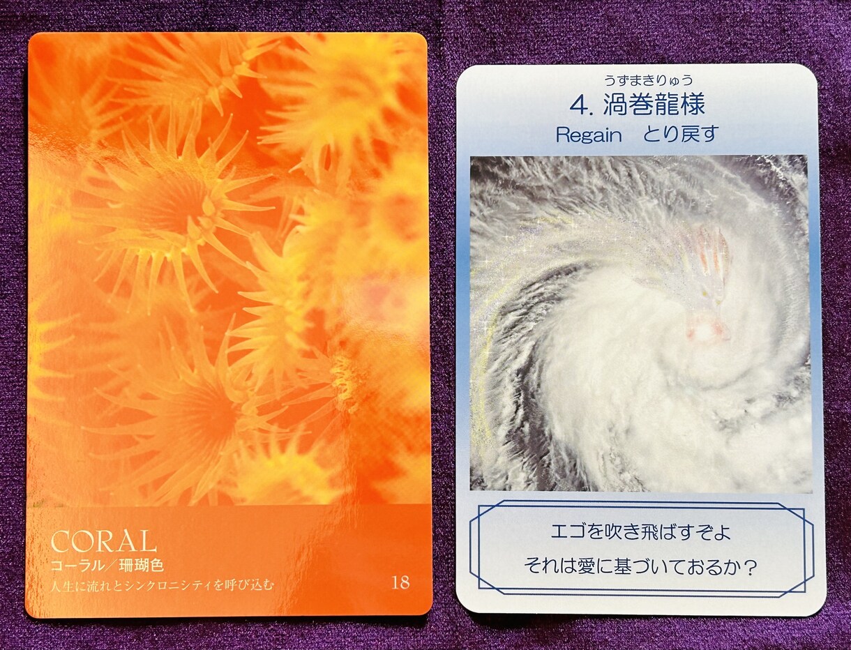 龍神様からのメッセージをお伝えします 龍神様と優しい羽の癒やしのスピリチュアルメッセージ イメージ6