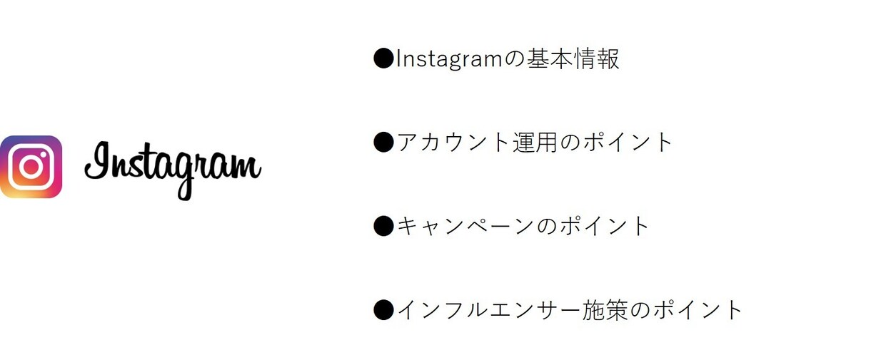 Instagram活用ノウハウの指南書を渡します これを見ればInstagramの広告活用の基本は完璧！ イメージ1