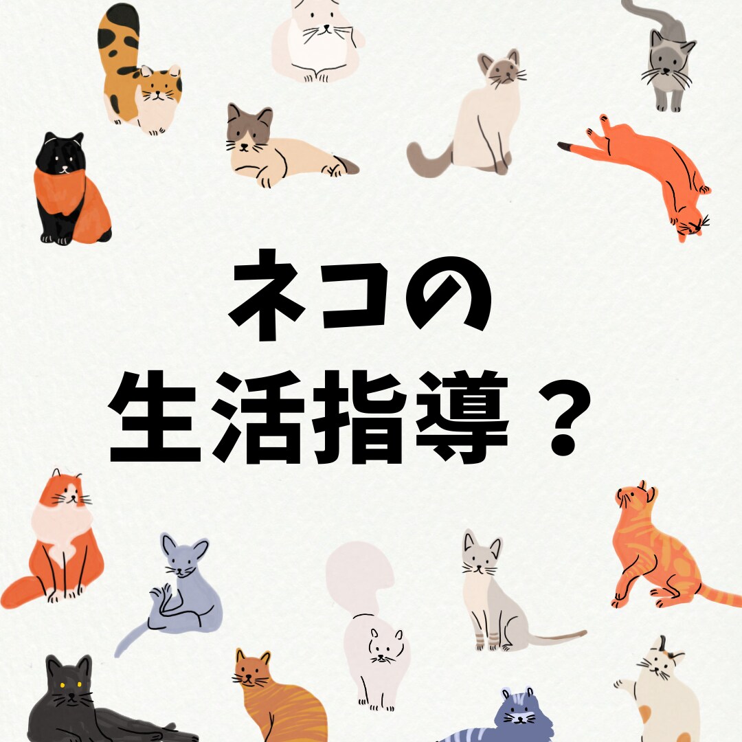 💬Coconala｜We will consult with you about raising your cat.
               Saboten's cat communication
                5.0
   …