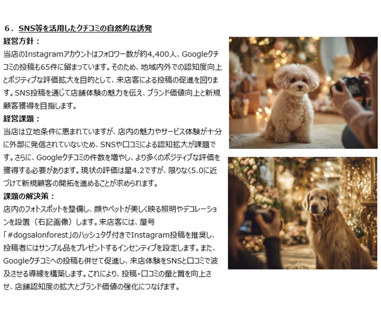 経営方策・経営課題・解決策を記した資料を作成します ～金融機関に努める中小企業診断士が貴社の方向性を提示します～ イメージ9
