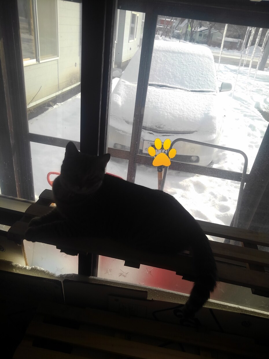 冬の車の運転の仕方、教えます 北海道在住の私が、冬特有の運転の仕方を伝授❗ イメージ2