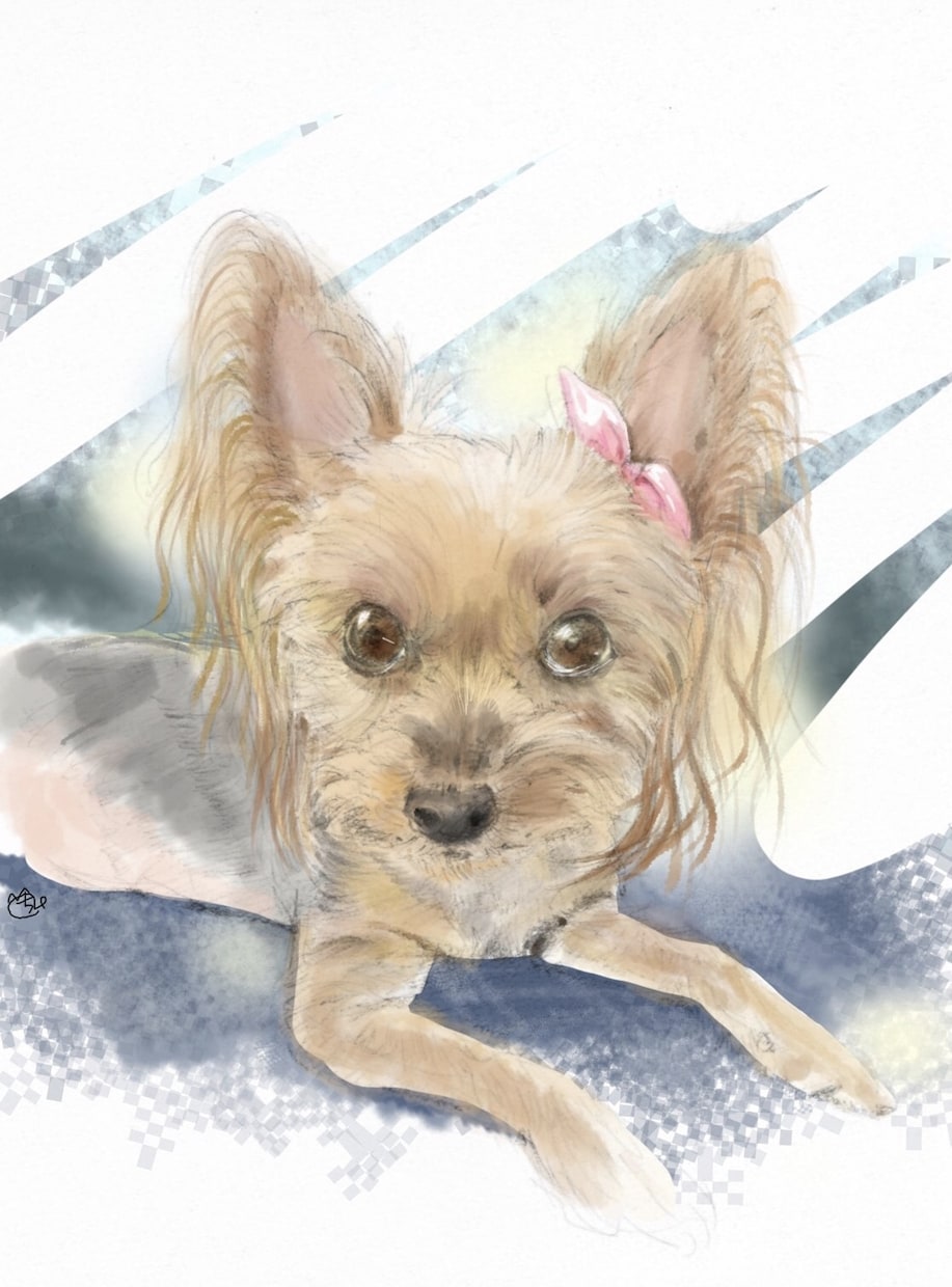 ペットの似顔絵をリアルに描きます マグカップやハンカチなどにプリントして誕生日プレゼントに。 イメージ2
