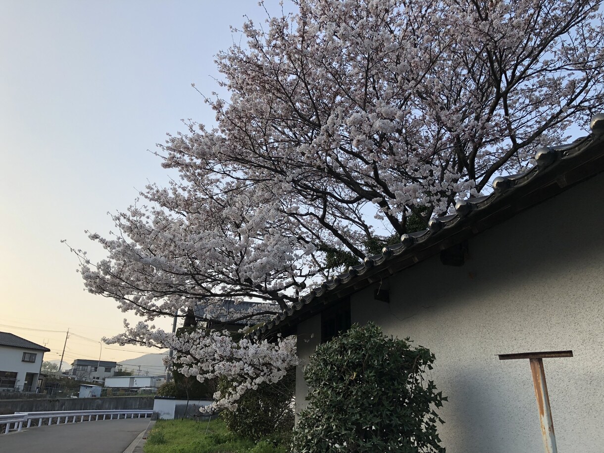 1コイン♡恋愛相談にのります 誰かに聞いて欲しい、相談にのって欲しいときに イメージ1
