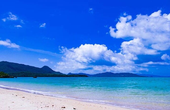 障がい者年金交付までの流れを説明いたします 精神障がい者様や精神病の恐れがある方にお教えするノウハウです イメージ2
