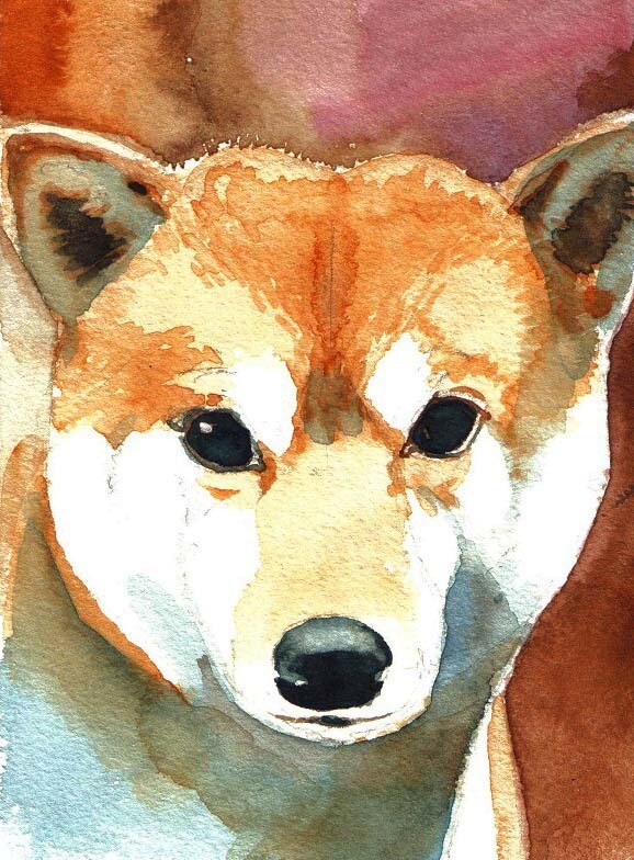 写真などからペットの絵、水彩でお描きします 複数の画像から一枚の画像に仕上げることもできます。 イメージ6