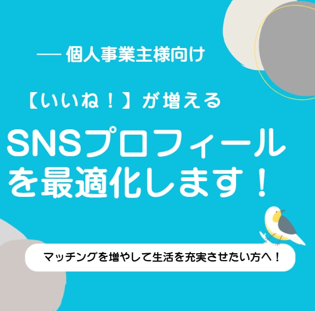 SNSのプロフィールを魅力的に整えます 初見で興味を引くプロフィール設計に大変身！ イメージ1