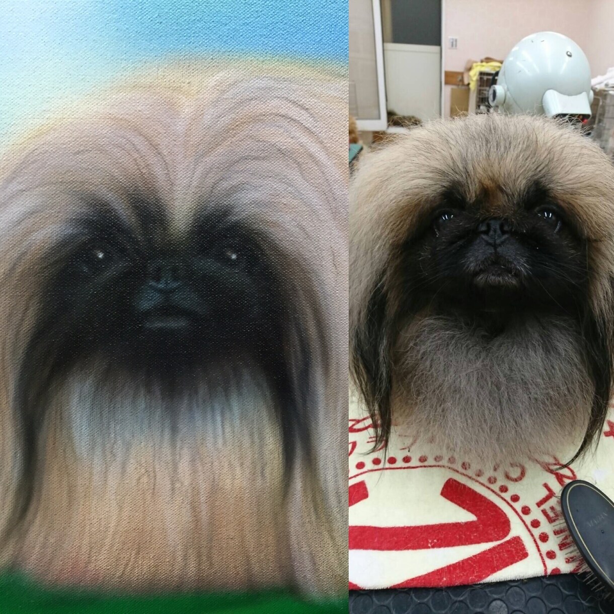 ペットの似顔絵制作します ワンちゃんの似顔絵制作します。 イメージ3