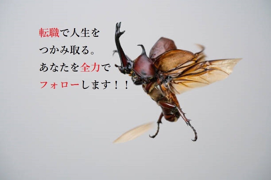 リピータ様向けに転職の応援をします リピーター様専用サービスです。転職に関する相談全般OKです。 イメージ5