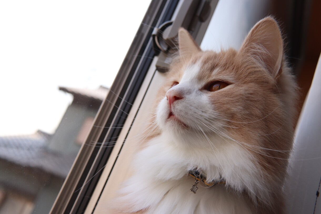 貴方の素敵な写真を加工します 写真のジャンルは問いません!簡単に加工‼︎サムネイルもOK イメージ3