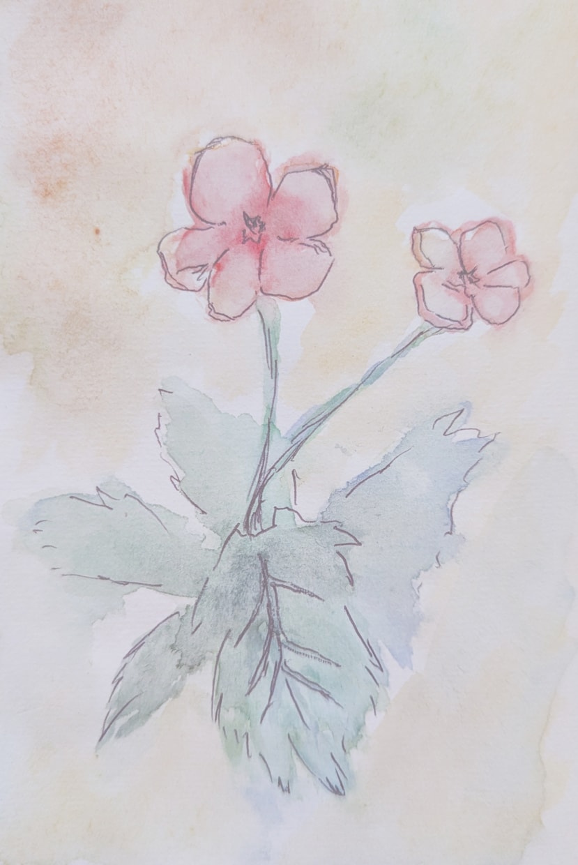 ナチュラルな植物のイラストを描きます アイコンや壁紙にぴったり！心が安らぐ植物のイラスト！ イメージ2