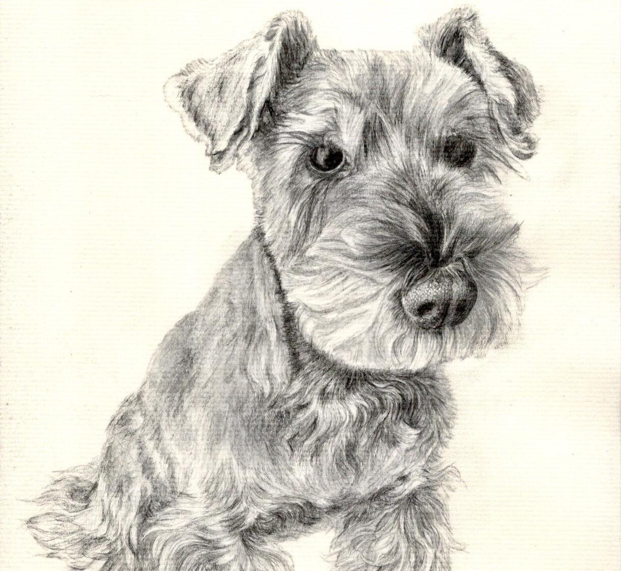 ペットのお写真からデッサン絵画を描きます お気に入りのお写真・画像を元にA4サイズのデッサン絵画に！ イメージ2