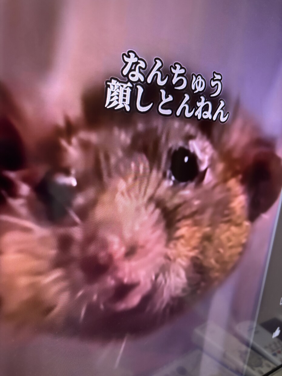 どんな内容でもOKよ！遠慮せずありのまま承ります 博多弁で気が済むまで向き合います！！ イメージ1