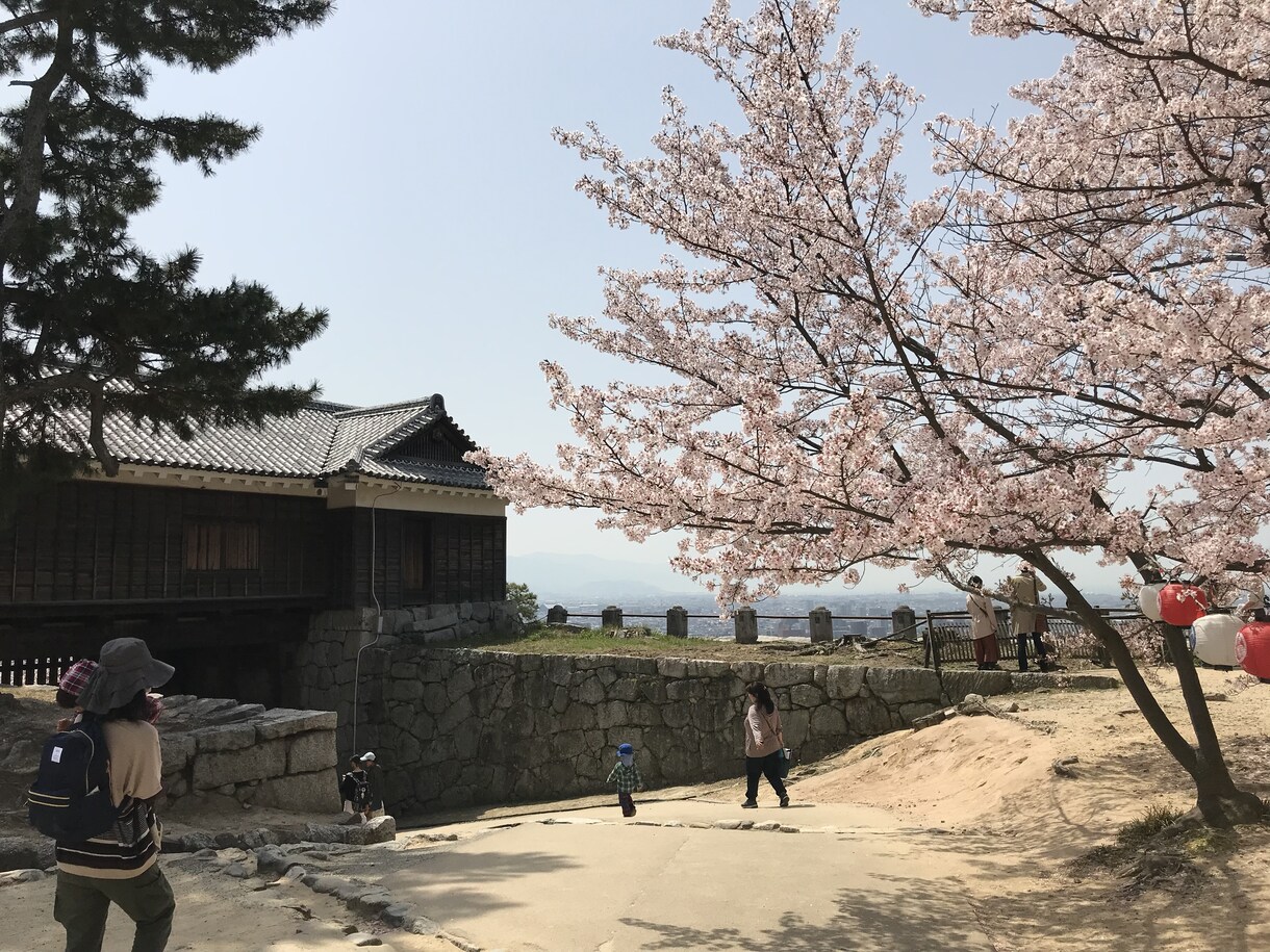 松山市内、また周辺地域の観光のお手伝いいたします お城に興味ある方、現地で俳句を楽しみたい方オススメ致します。 イメージ1