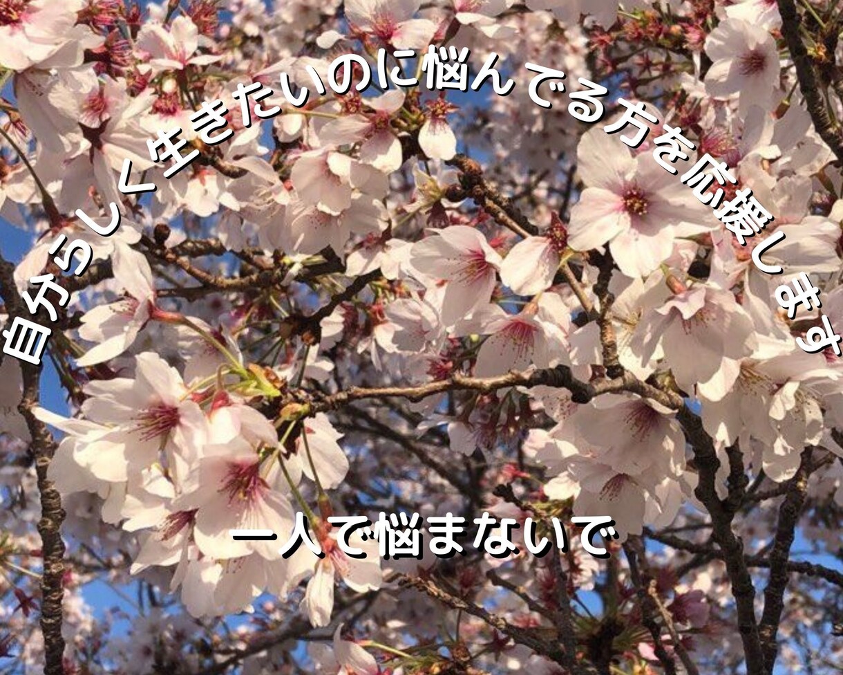 自分らしく生きたいのに悩んでる方を応援します あなたの自己肯定感を上げるお手伝いをします✨ イメージ1