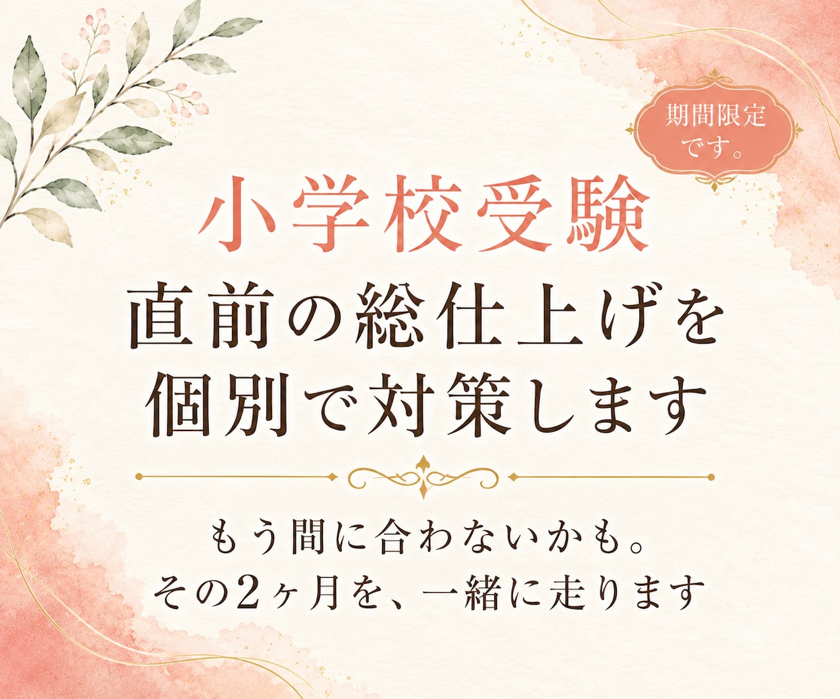 小学校受験 直前2ヶ月の総仕上げを個別で対策します もう間に合わないかも。その2ヶ月を、一緒に走ります イメージ1
