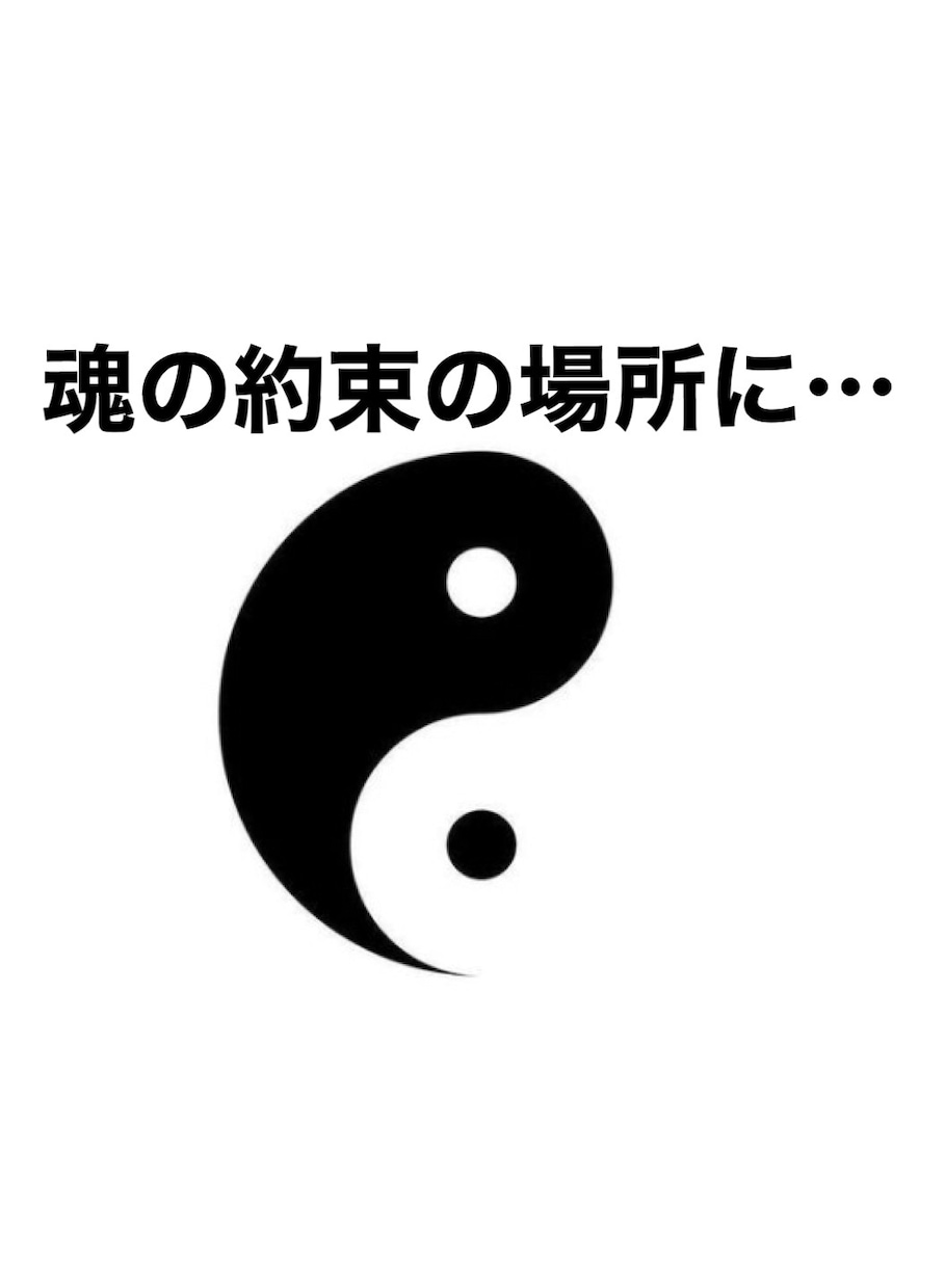 ツインソウル統合への指南をします 魂の片割れと出会い、苦しみの迷路を行くあなたを救います。 イメージ1