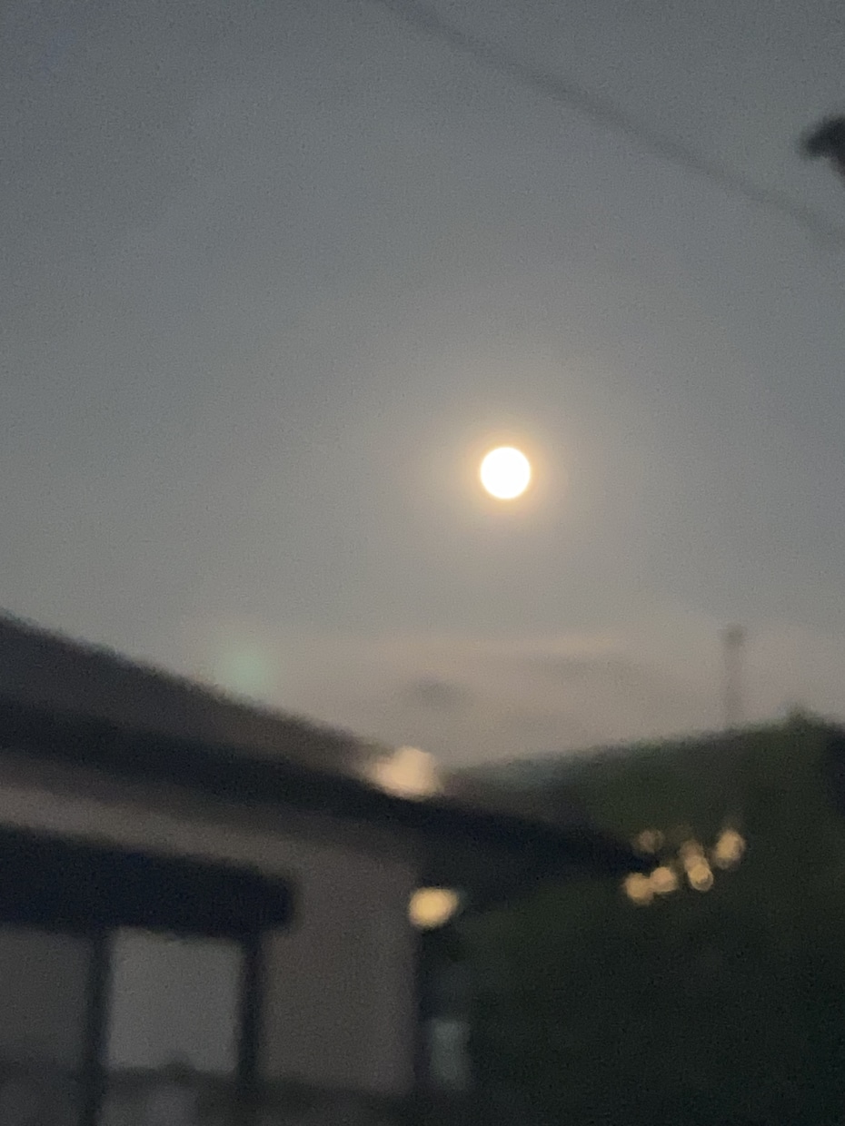 まずはお話しましょう！聞きます 一人で悩まないで！何でも聴きますよ( ；∀；) イメージ1