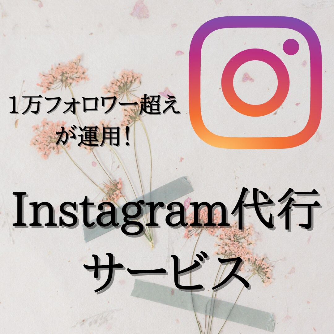 1ヶ月丸々パックInstagram運用代行します インスタフォロワー1.2万人を作った人材が代行します！ イメージ1