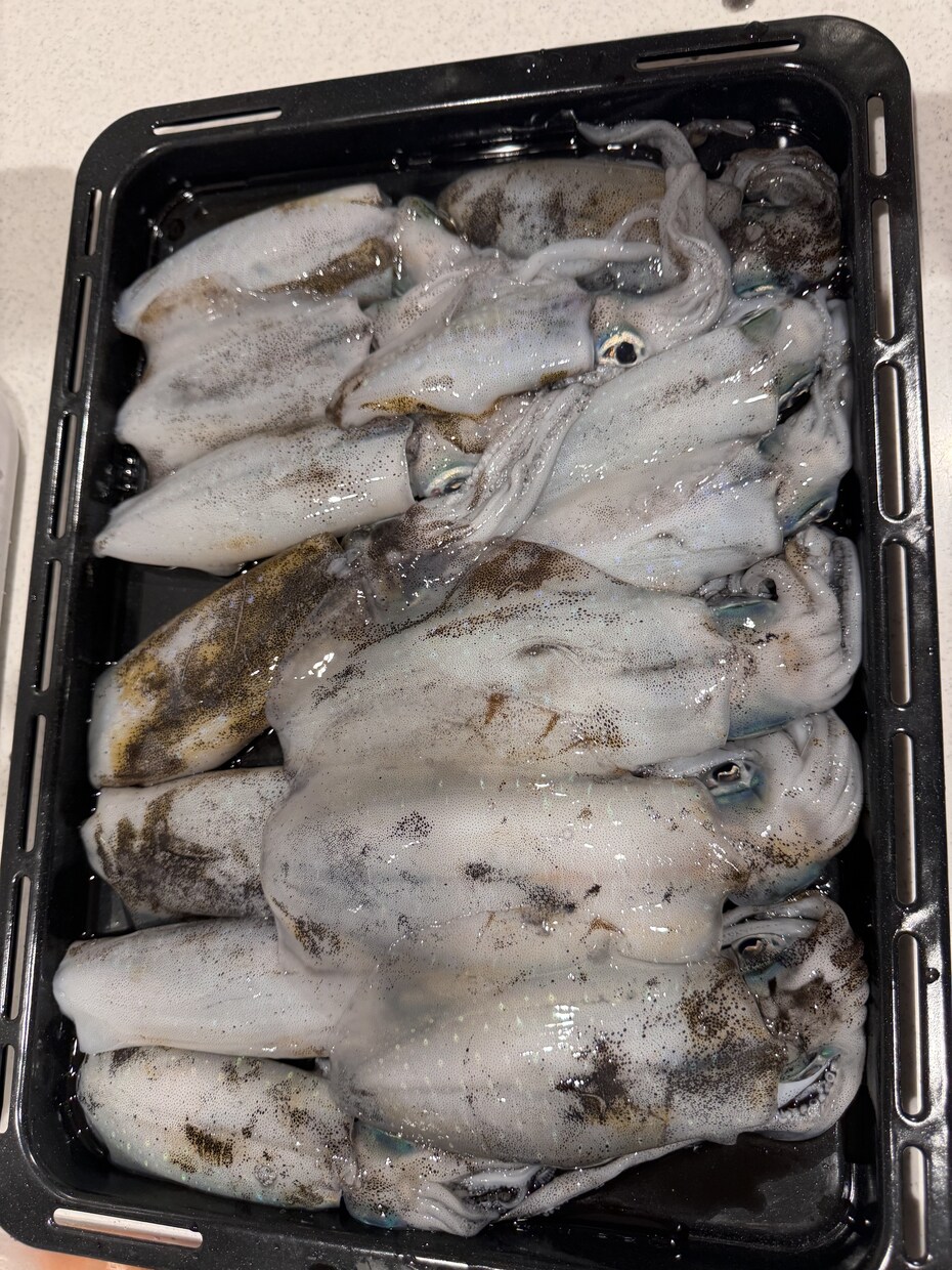 広島でのエギング攻略プランを作成します 釣具屋店員があなたの条件に合わせて一緒に考えます！ イメージ2
