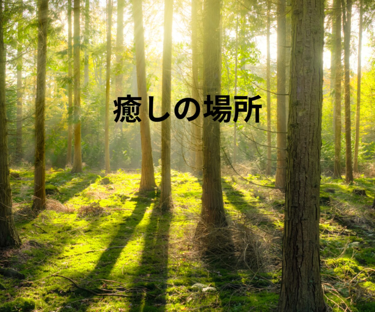 お気軽に❁あなたの心を受け止めます あなたの誰にも言えない悩み、安心して話せる場所です。 イメージ6