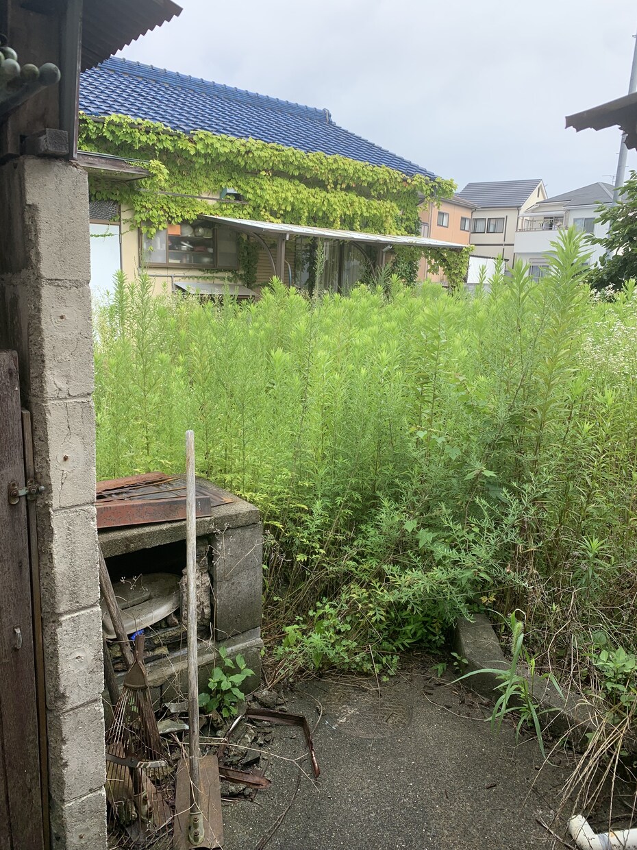 空き家の庭掃除！除草、庭木の剪定します 実家が！転勤で持ち家が！苦情が！を解決します。 イメージ7