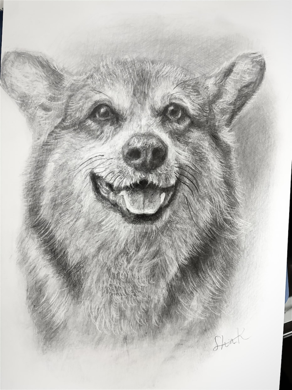 動物・写真から感動の一枚を制作します 「大切な家族の“今”を一枚の絵に」 イメージ1