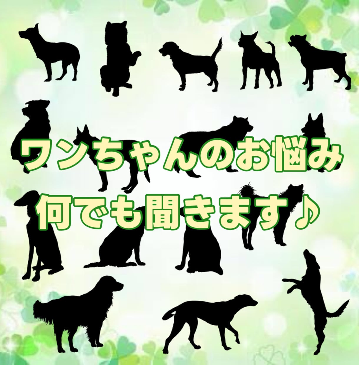 ワンちゃんのお悩み何でも聞きます ワンちゃんも人間と一緒で、性格も味の好みもバラバラですよ！ イメージ1