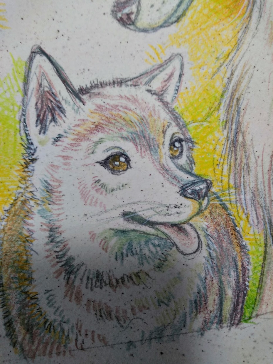大切なペット達の似顔絵、手描きで描きます ☆ハムちゃん、ニャンコ、ワンコ♡似顔絵描きます♡手描きです イメージ2