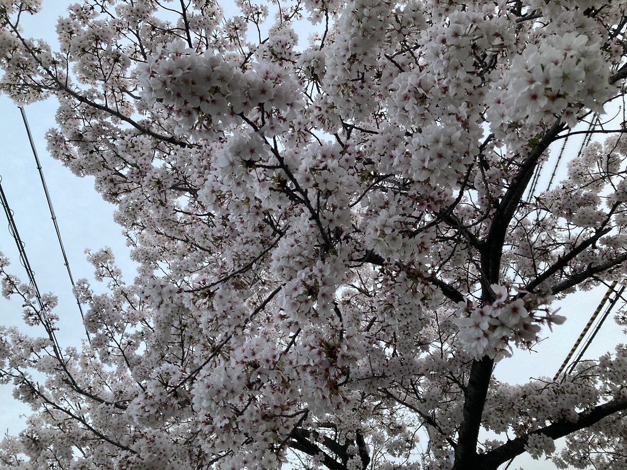 1分でも大丈夫！どんな話でも聞きます 寂しさを感じる嫌な出来事があったときこそ思いを声に出してみて イメージ2