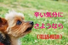 心理カウンセラーが思考の癖を修正！気分を楽にします 電話＜辛い気分から、早く抜け出したい方へ⭐️＞ イメージ2