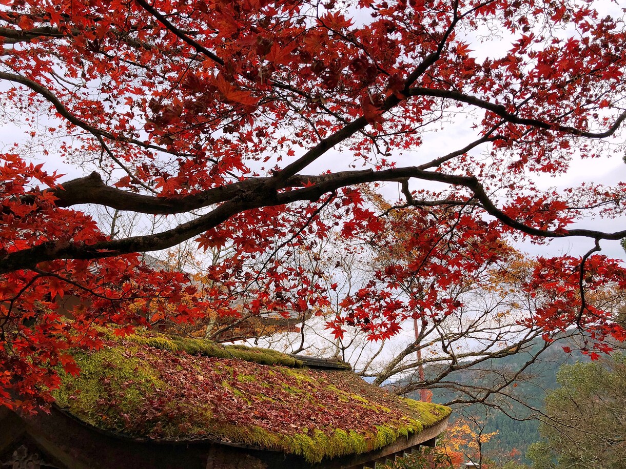素材用写真（風景等）撮ります 素材用の写真（風景などがメイン）が欲しい方に イメージ5