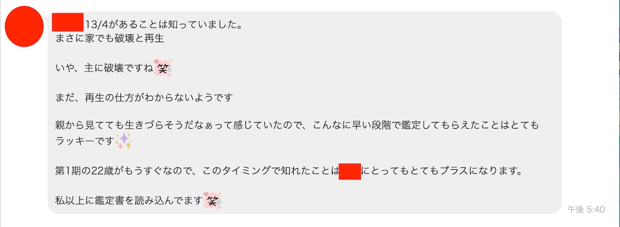 数秘術20年年表｜相性鑑定書を2万文字超で作ります 夫婦・子供・恋愛・ビジネス相性鑑定｜2人の特性で対策を練る イメージ9