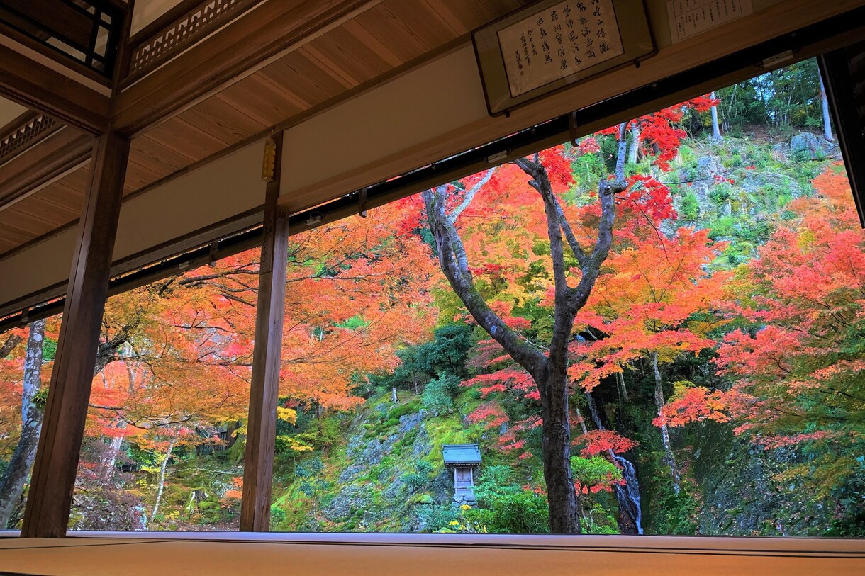 名古屋市近郊の風景写真を撮影します 名古屋市在住のカメラマンが代行で撮影いたします イメージ1