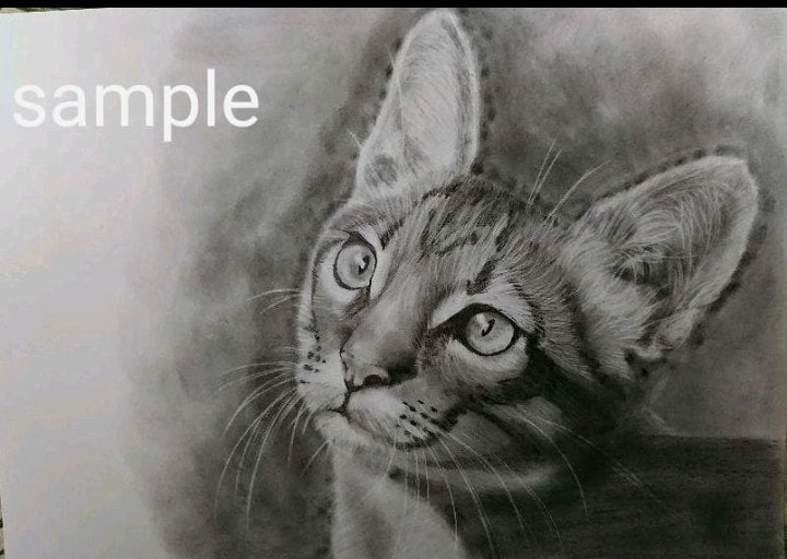 愛犬、愛猫、ペットのリアルな似顔絵オーダー承ります 精密描写で描きます。インテリアアートなどにいかがでしょうか。 イメージ7