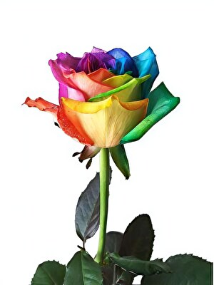 あなたの不安♡悩み寄り添い解決します 彼の本音、深層心理から見抜きます イメージ4
