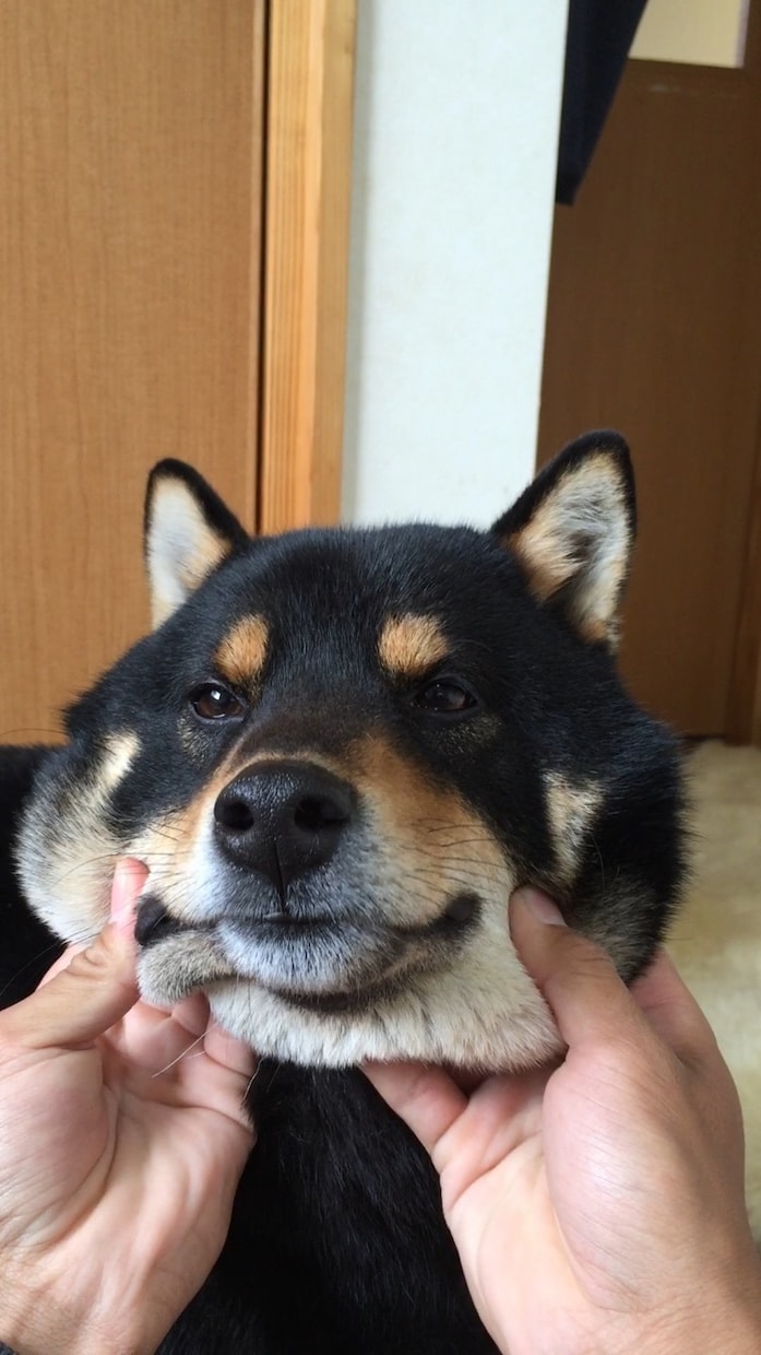 とにかく話を聞いて欲しい方！何でも話聞きます 仕事、恋愛、人生相談、転職、愚痴etc イメージ3