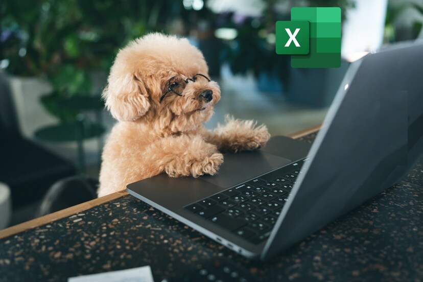 Excel自動化のご相談の打ち合わせをいたします 事前打ち合わせに時にご利用ください。 イメージ1