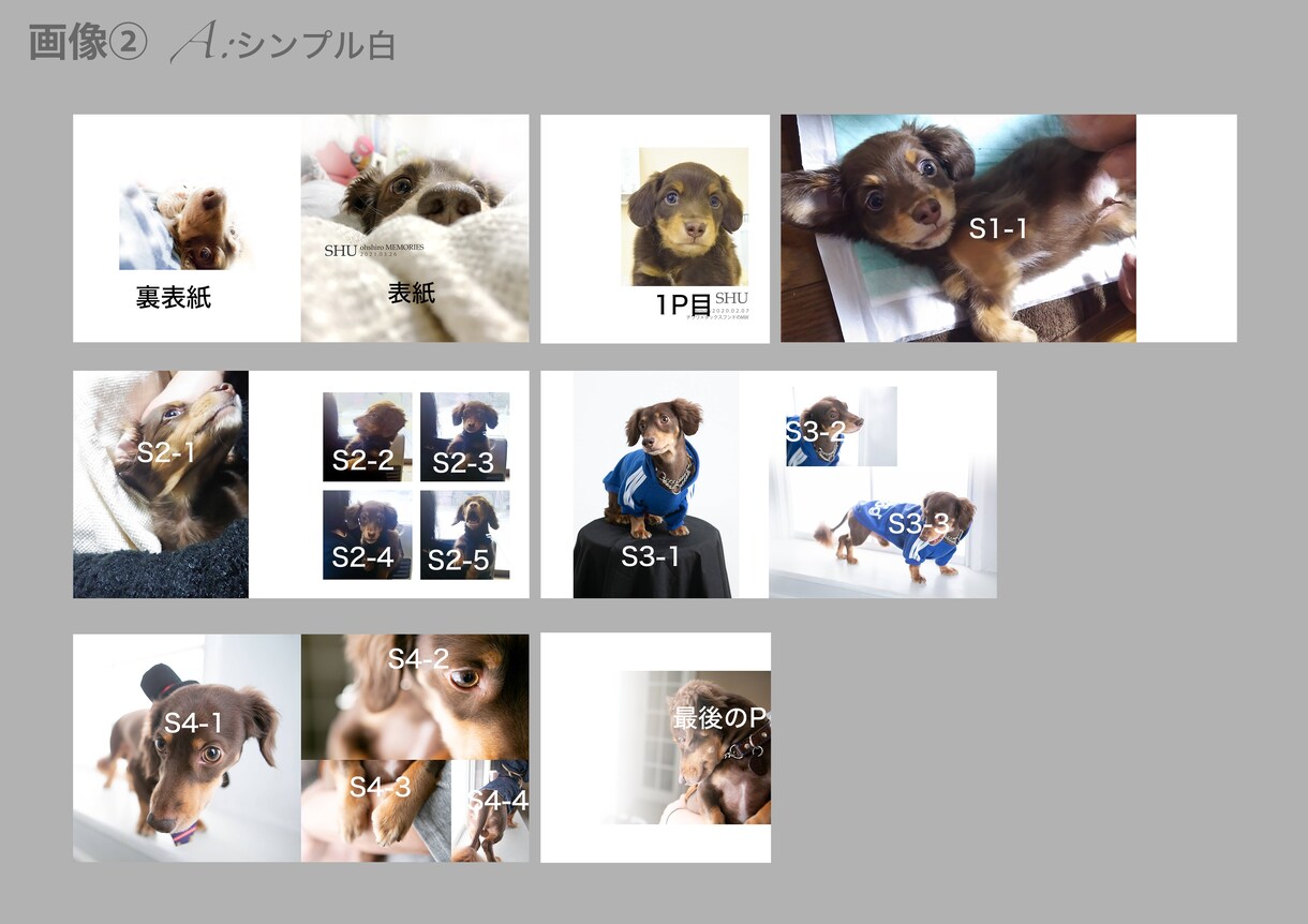 犬好きの方へ！写真アルバム製作します 小さめアルバム！とてもお得にわんちゃんのアルバム制作します♪ イメージ3