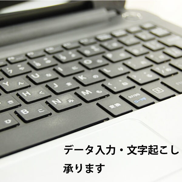 データ入力・文字起こしを承ります PDF・紙媒体・オンラインカタログをexcel等に起こします イメージ1