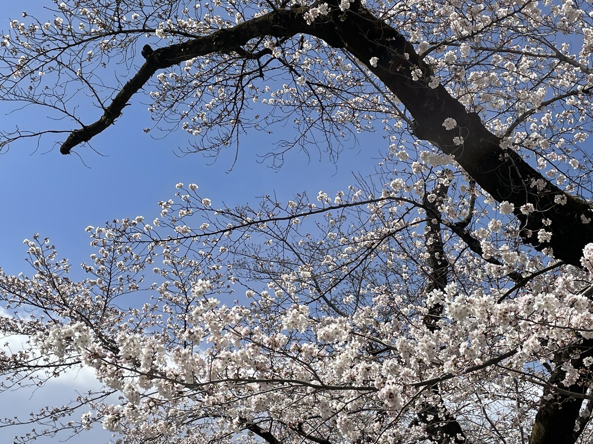 ワンコインで恋愛の悩み1つ答えます ワンコインで恋愛のお悩み全般を1つサクッとお答えします。 イメージ1