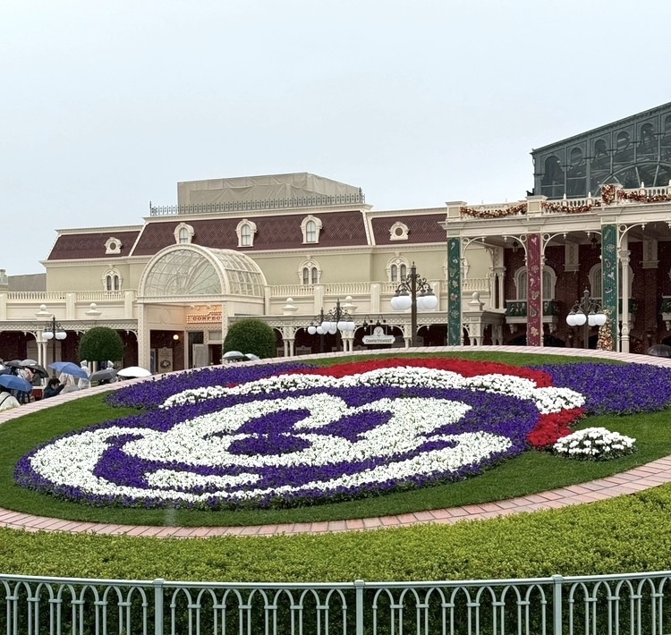 ディズニーリゾート初心者の方も、満喫できます ☆パレードとショーが大好きな元キャストが提案☆ イメージ2