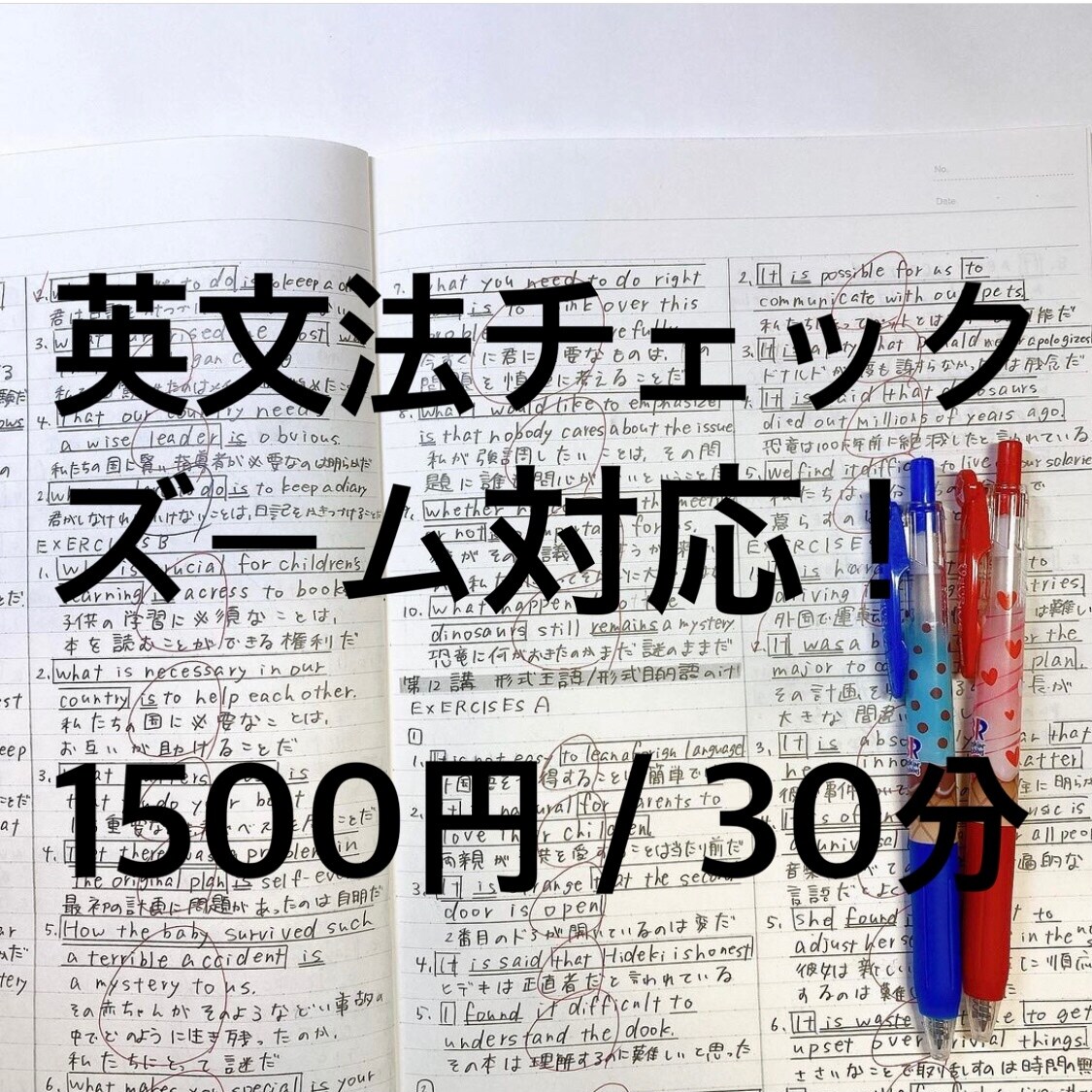 英語文法チェックします 初心者英語〜ビジネス英語まで。ズーム対応です。 イメージ1