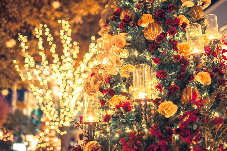 クリスマスまでに訪れる奇跡と幸運を鑑定します クリスマスまでにあなたを待つ奇跡と幸運のサインを読み解きます イメージ3